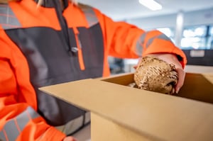 Sustainable-Packaging-IFGlobal